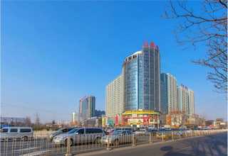 上海栗蘑灰树花